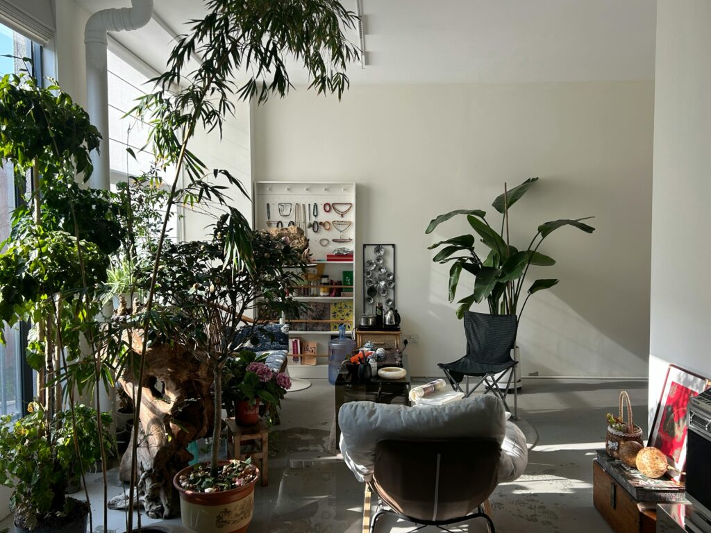 Aesthetic house share living room ready to find good housemates